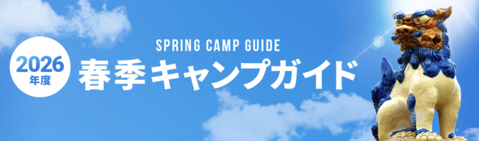 沖繩祭典、活動-日本職棒春訓